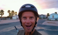 Whats In That Bee Pollen Anyway?