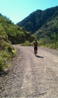 Leaving Santa Rita Ranch at 5,100 Feet On A Dirt Road. Thanks Google Maps :)