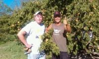 Boyds Organic Farm. GREAT PLACE.