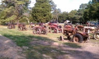 I Fit Right In With These Slow Movers. Field Of Dreams.